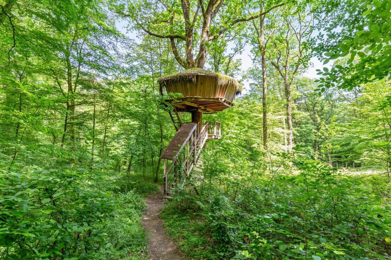 L'Arbre A Cabane Guest House Guyonvelle Exterior photo