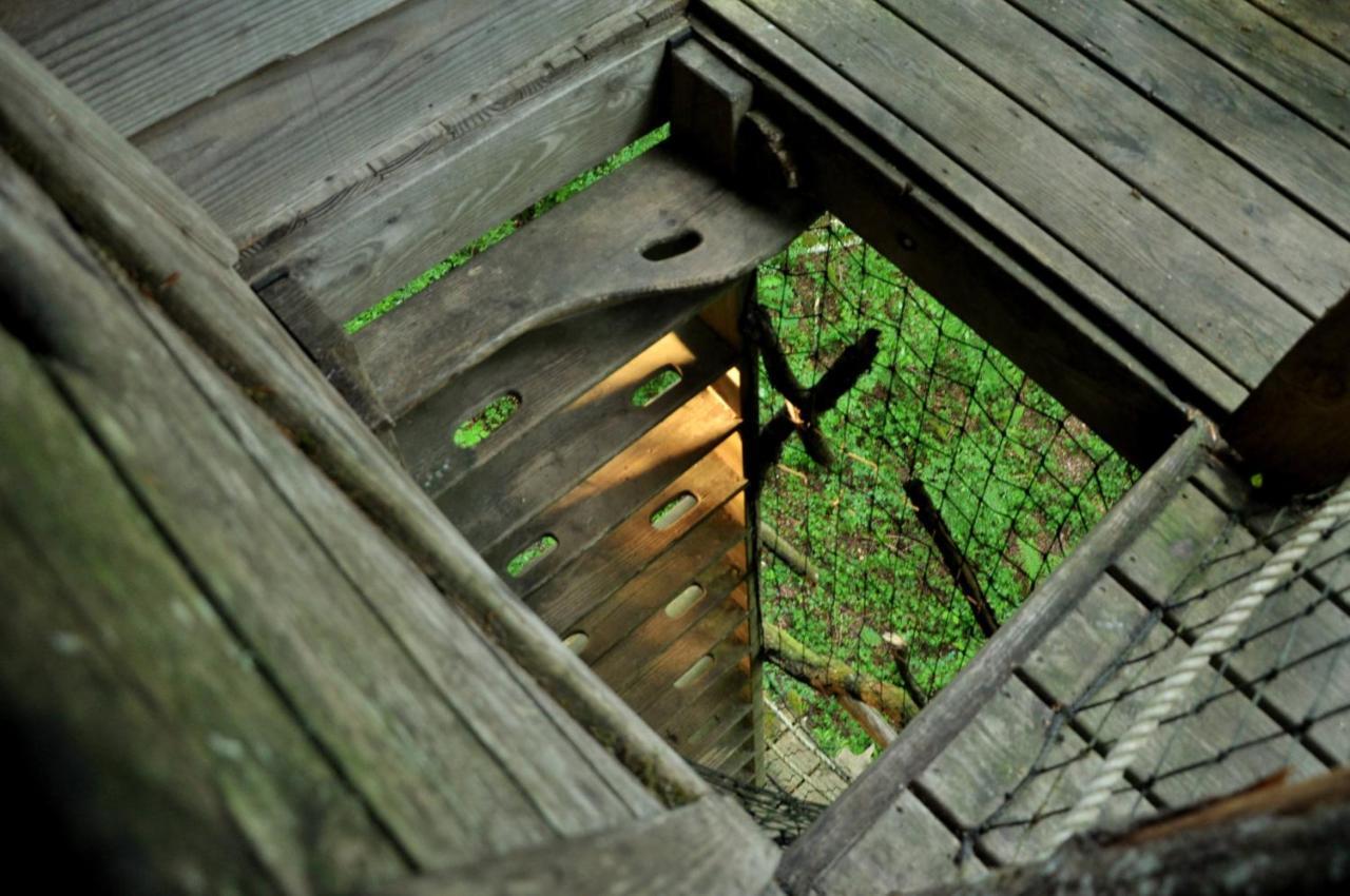 L'Arbre A Cabane Guest House Guyonvelle Exterior photo